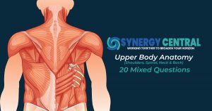 Upper Body Anatomy (Shoulders, Spinal, Back & Neck) Quiz (20 Questions) Synergy Central Online Learning